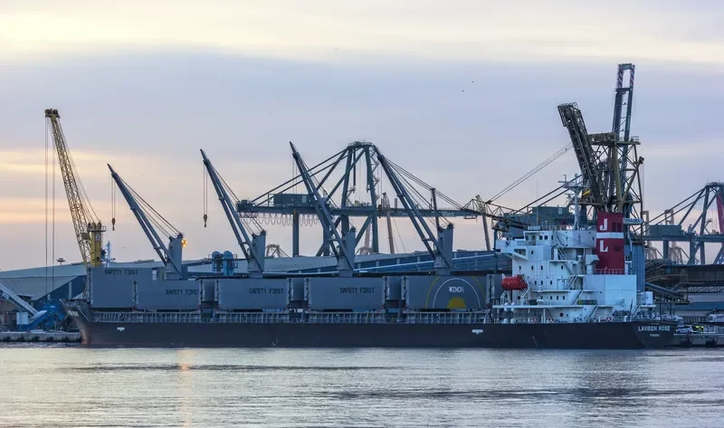 LAVIEEN ROSE Bulk Carrier IMO 9700562 photo 9