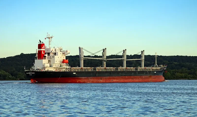 LAVIEEN ROSE Bulk Carrier IMO 9700562 photo 10