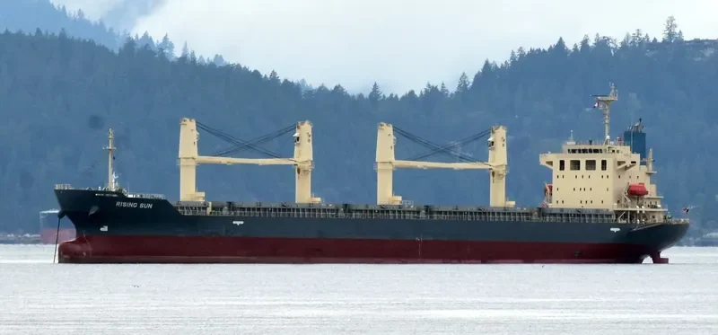 RISING SUN General Cargo IMO 9700574