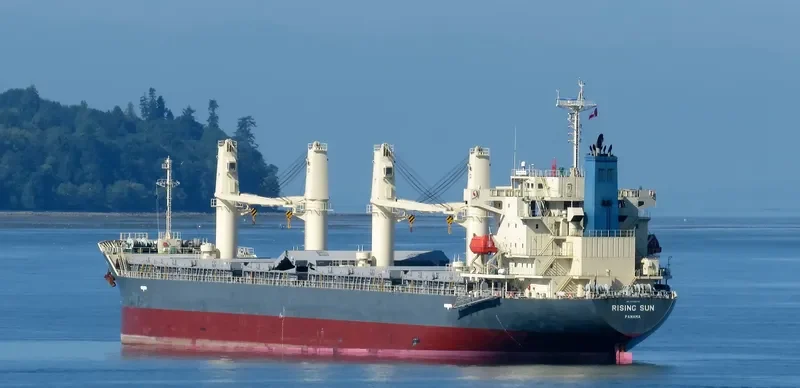 RISING SUN General Cargo IMO 9700574 photo 2