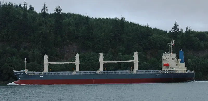 RISING SUN General Cargo IMO 9700574 photo 7