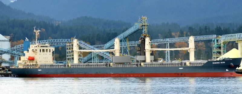 RISING SUN General Cargo IMO 9700574 photo 10
