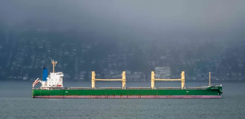MERIT TRADER Bulk Carrier IMO 9700586
