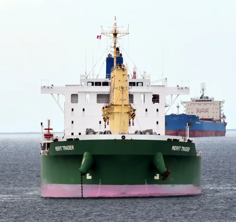 MERIT TRADER Bulk Carrier IMO 9700586 photo 2