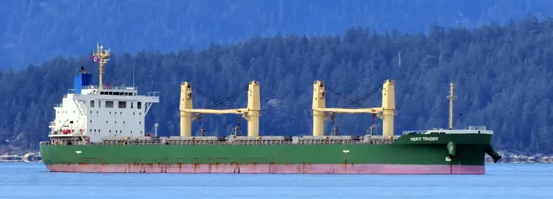 MERIT TRADER Bulk Carrier IMO 9700586 photo 3