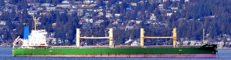 MERIT TRADER Bulk Carrier IMO 9700586 photo 5