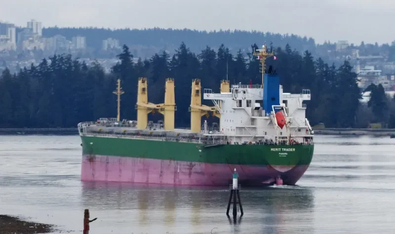 MERIT TRADER Bulk Carrier IMO 9700586 photo 7