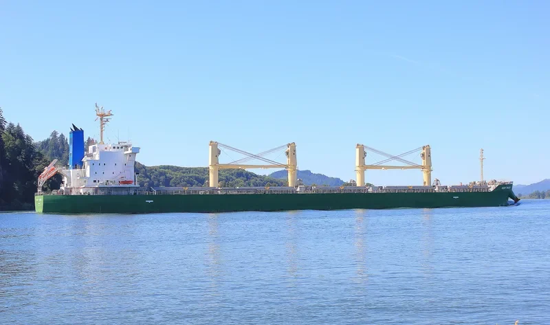 MERIT TRADER Bulk Carrier IMO 9700586 photo 9