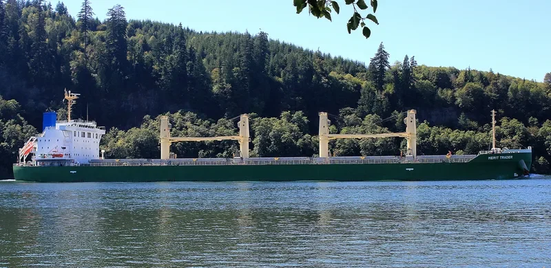 MERIT TRADER Bulk Carrier IMO 9700586 photo 10