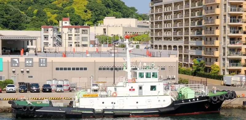 NAGATO MARU General Cargo IMO 9700627 photo 2
