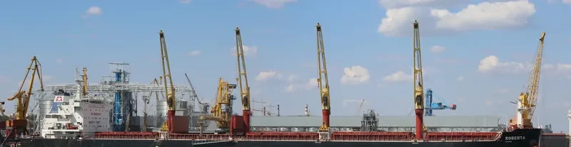 ROBERTA Bulk Carrier IMO 9700653 photo 2
