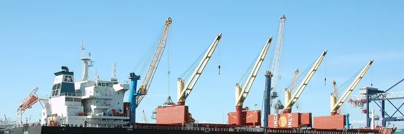 LAURA Bulk Carrier IMO 9700665 photo 2