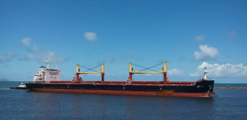 IDEE FIXE Bulk Carrier IMO 9700677