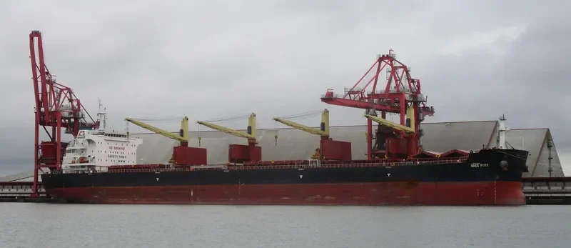 IDEE FIXE Bulk Carrier IMO 9700677 photo 2