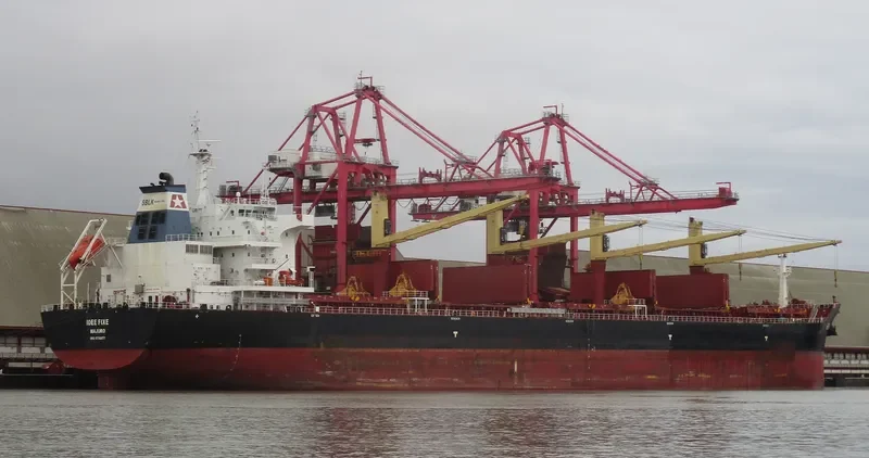 IDEE FIXE Bulk Carrier IMO 9700677 photo 3