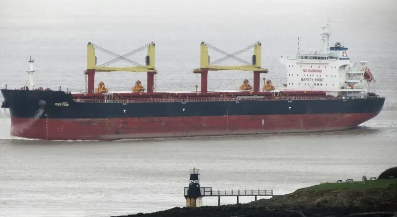 IDEE FIXE Bulk Carrier IMO 9700677 photo 6