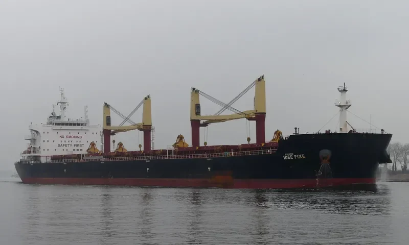 IDEE FIXE Bulk Carrier IMO 9700677 photo 8