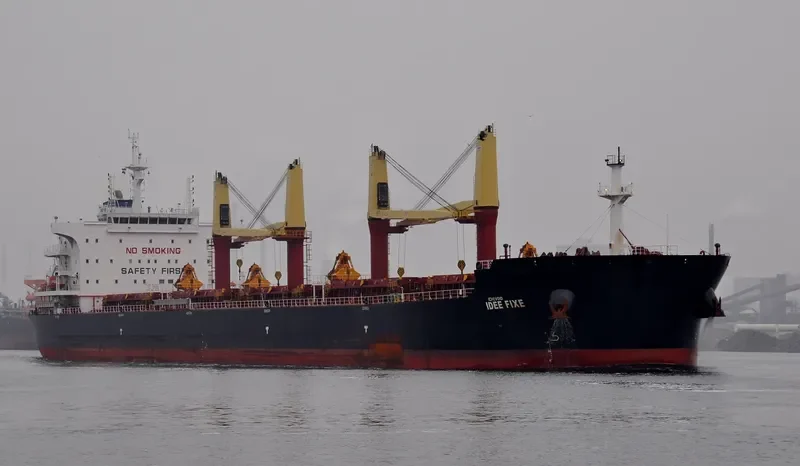 IDEE FIXE Bulk Carrier IMO 9700677 photo 10