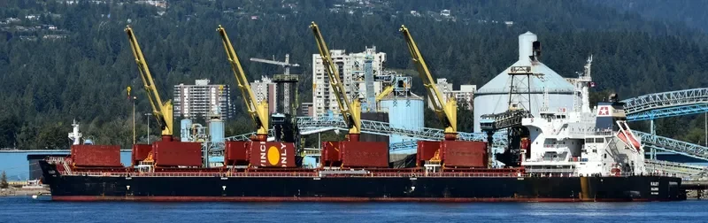 KALEY Bulk Carrier IMO 9700689