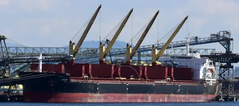 KALEY Bulk Carrier IMO 9700689 photo 2