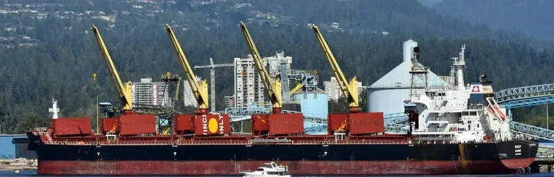 KALEY Bulk Carrier IMO 9700689 photo 3