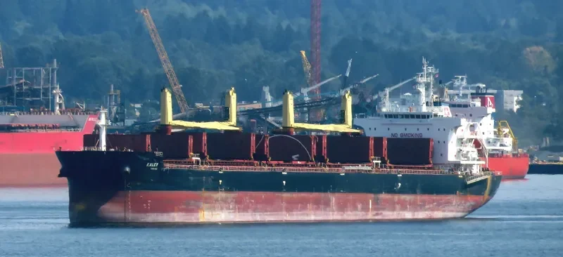 KALEY Bulk Carrier IMO 9700689 photo 4