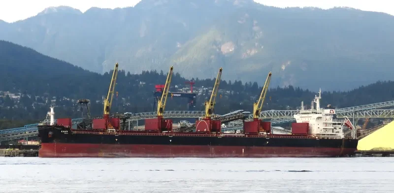 KALEY Bulk Carrier IMO 9700689 photo 5