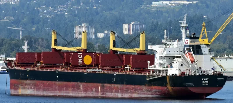 KALEY Bulk Carrier IMO 9700689 photo 6