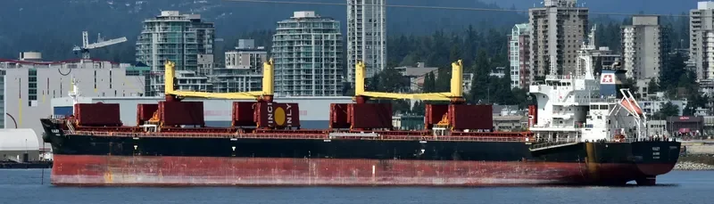 KALEY Bulk Carrier IMO 9700689 photo 7
