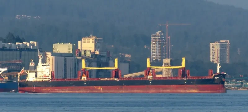 KALEY Bulk Carrier IMO 9700689 photo 9