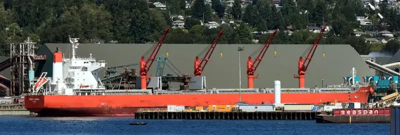 SANTA VIRGINIA Bulk Carrier IMO 9700782 photo 4