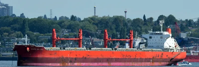 SANTA VIRGINIA Bulk Carrier IMO 9700782 photo 7