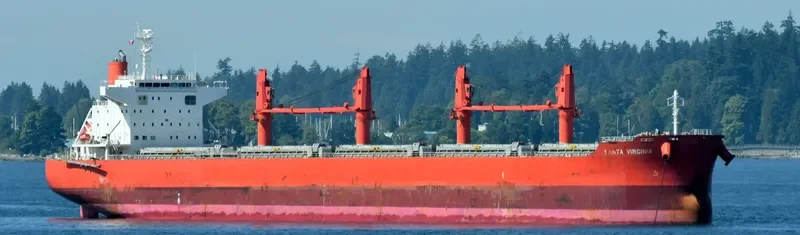 SANTA VIRGINIA Bulk Carrier IMO 9700782 photo 8