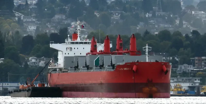 SANTA VIRGINIA Bulk Carrier IMO 9700782 photo 9