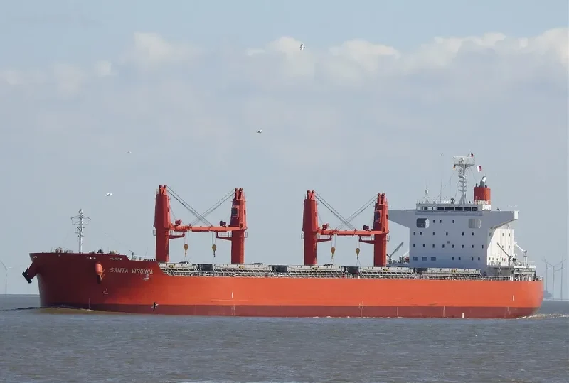 SANTA VIRGINIA Bulk Carrier IMO 9700782 photo 10