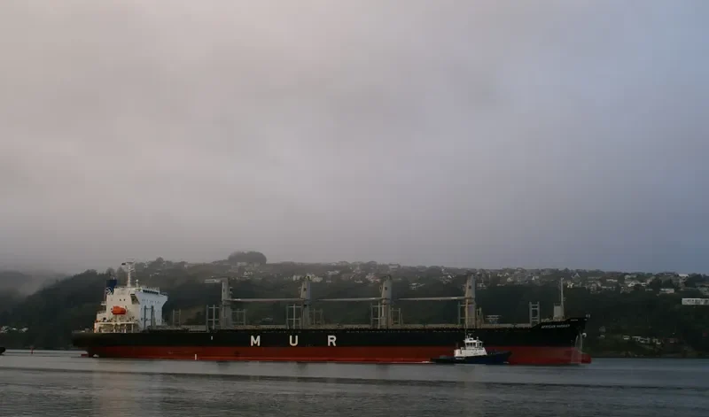 AFRICAN HARRIER Bulk Carrier IMO 9700794 photo 3