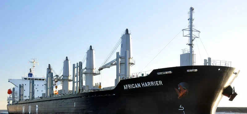 AFRICAN HARRIER Bulk Carrier IMO 9700794 photo 4