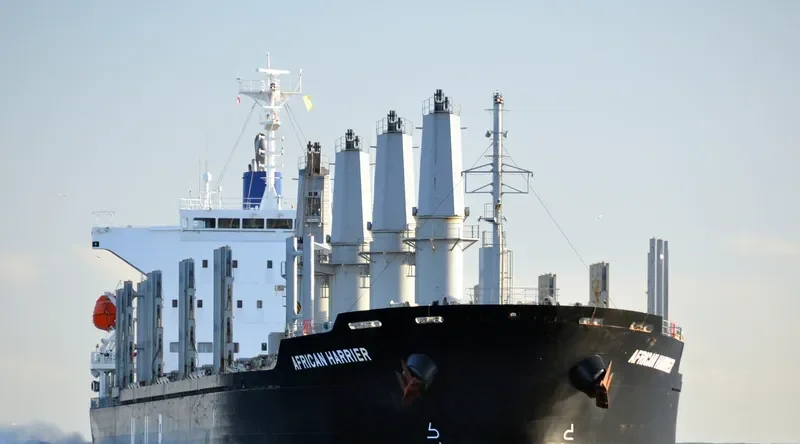 AFRICAN HARRIER Bulk Carrier IMO 9700794 photo 5