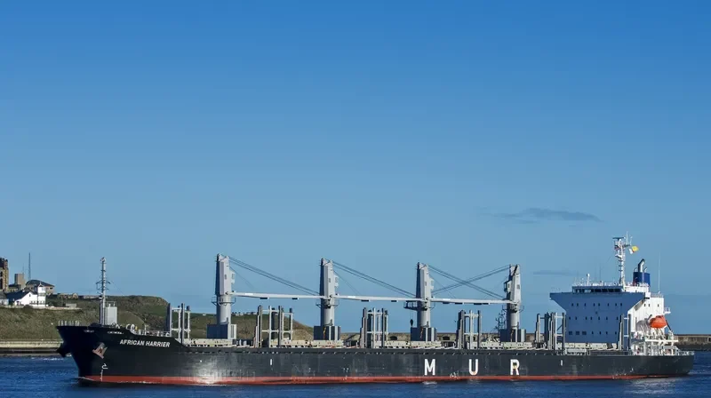 AFRICAN HARRIER Bulk Carrier IMO 9700794 photo 6