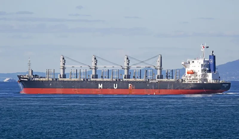 AFRICAN HARRIER Bulk Carrier IMO 9700794 photo 7