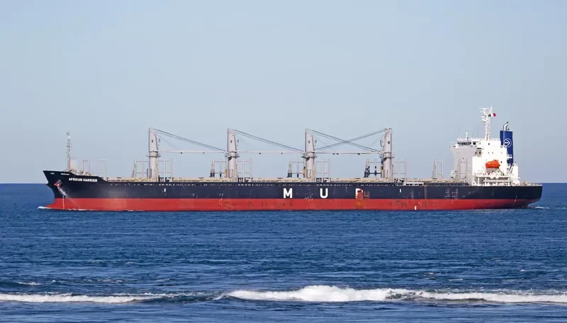 AFRICAN HARRIER Bulk Carrier IMO 9700794 photo 8