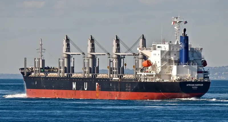 AFRICAN HARRIER Bulk Carrier IMO 9700794 photo 9