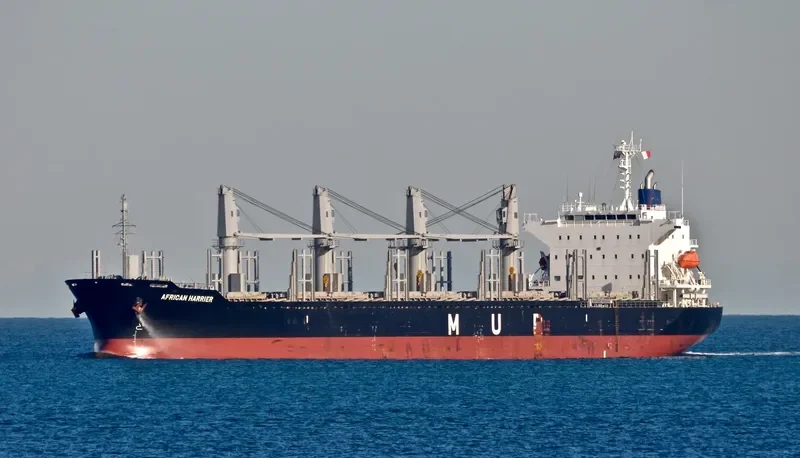 AFRICAN HARRIER Bulk Carrier IMO 9700794 photo 10