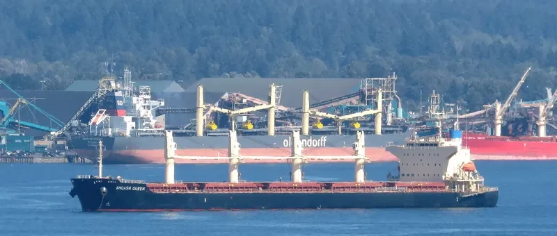 ANCASH QUEEN Bulk Carrier IMO 9700809 photo 3