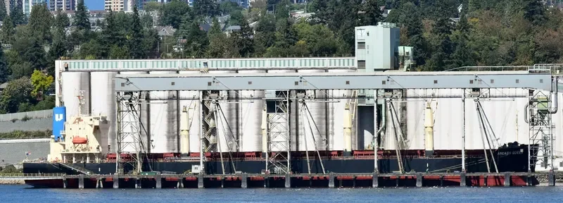 ANCASH QUEEN Bulk Carrier IMO 9700809 photo 4