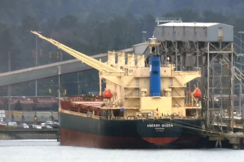 ANCASH QUEEN Bulk Carrier IMO 9700809 photo 5