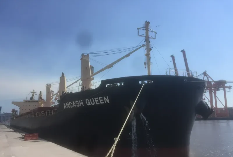 ANCASH QUEEN Bulk Carrier IMO 9700809 photo 6
