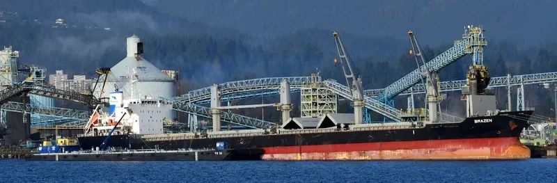 BRAZEN Bulk Carrier IMO 9700811 photo 3