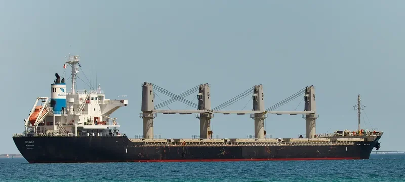 BRAZEN Bulk Carrier IMO 9700811 photo 4