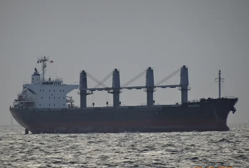 BRAZEN Bulk Carrier IMO 9700811 photo 7